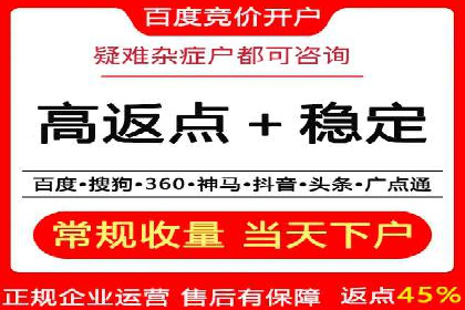 搜索引擎推广的佼佼者——百度搜索推广案例